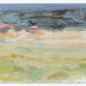 Khongoriin Els - Mongolei Süd-Gobi